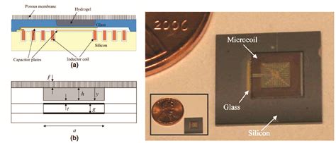 Implantable Microsystems - Research Areas - ZBML