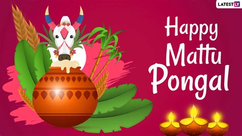 Festivals & Events News | Happy Mattu Pongal 2021 Wishes, Quotes ...