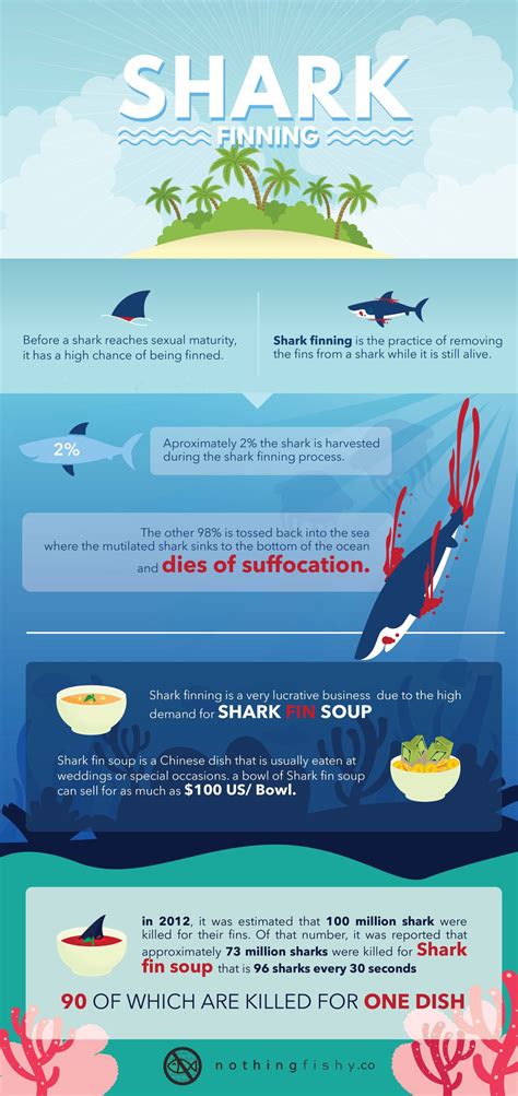 Facts Behind Shark Finning [Infographic] - Best Infographics