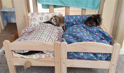 Japanese Cat Owners Turn IKEA Doll Beds Into Adorable Cat Beds | Bored ...