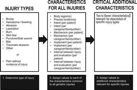 Describing visible acute injuries: development of a comprehensive ...