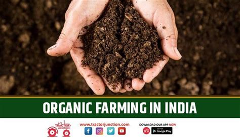 Organic Farming in India - Types, Methods & Advantages