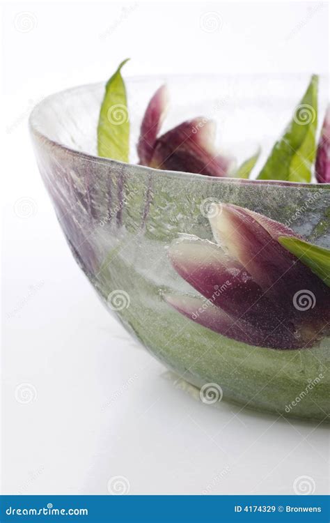 Flower Ice Bowl stock image. Image of bloom, bowl, flora - 4174329