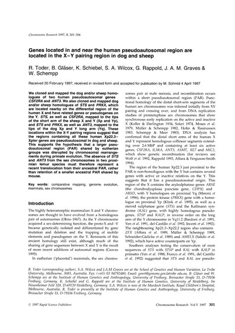 (PDF) Genes Located In and Near the Human Pseudoautosomal Region are ...