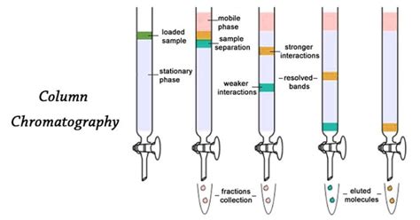 Column Chromatography- Definition, Principle, Parts, Steps, Uses