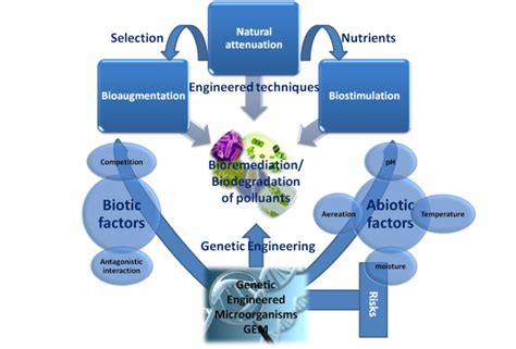 Bioaugmentation Examples