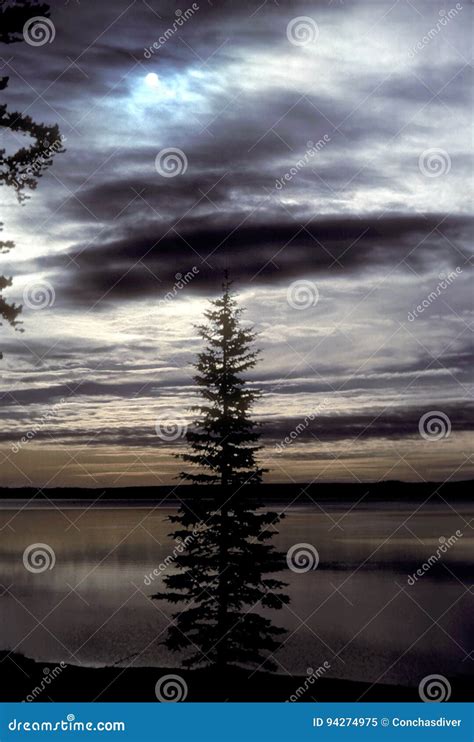 Yellowstone Lake winter stock image. Image of wyoming - 94274975