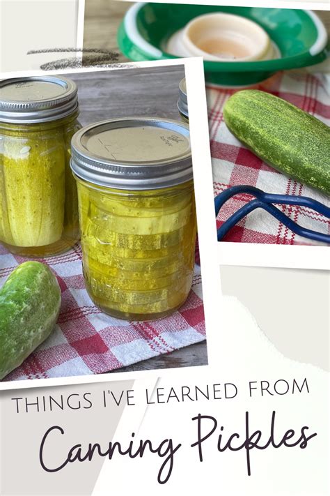 6 Things I Have Learned When Canning Pickles - Hobbies on a Budget