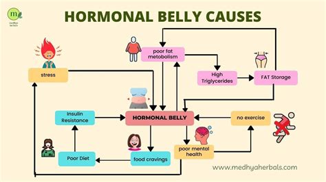 How to Lose Hormonal Belly Fat: Your Ultimate Guide