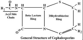 Cephalosporin: structure, classification, clinical use and mode of ...