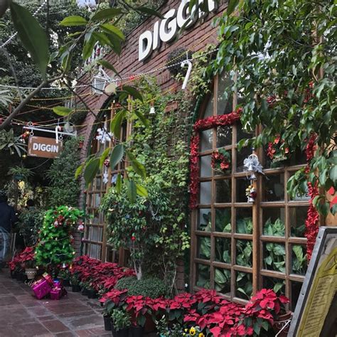 Diggin - Café in South Delhi