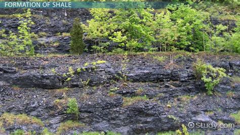 Shale Rock | Properties, Formation & Uses - Video & Lesson Transcript ...