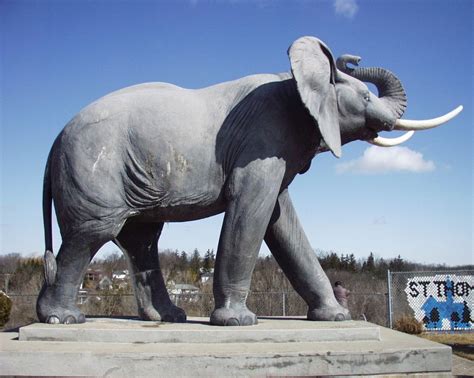 Jumbo the Elephant, St. Thomas, Ontario | Jumbo the elephant, Elephant ...