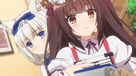 Nekopara OVA Media Review | Anime Solution