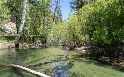 Lee Vining Creek Fishing - Lee Vining, California - 395 Guide