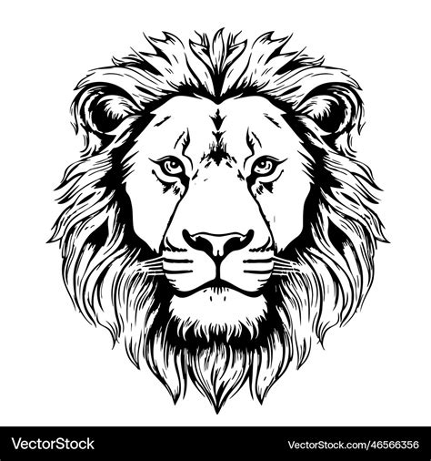 Lion face sketch hand drawn in cartoon style Vector Image