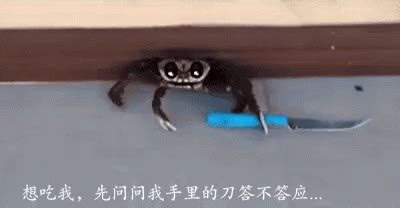 Funny Crab GIF - Funny Crab Knife - Discover & Share GIFs