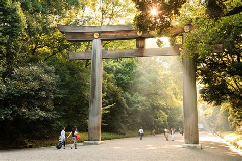 Yoyogi Park, Tokyo - Sports-Outdoors Review - Condé Nast Traveler