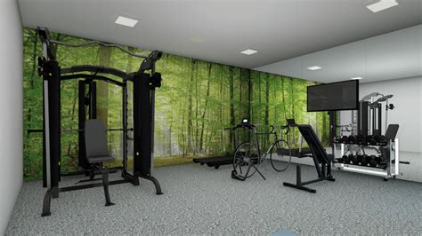 Top 10 Home Gym Design Ideas & Tips to Amp Up your Workout - Decorilla