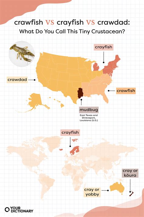 “Crayfish” vs. “Crawfish” vs. “Crawdad”: What’s the Difference ...