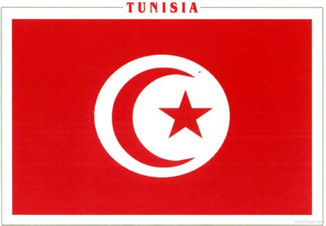 Tunisia National Flag - RankFlags.com – Collection of Flags