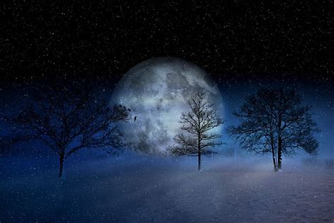 Online crop | HD wallpaper: digital artwork of full moon and trees ...