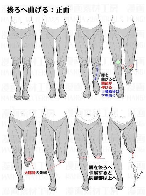 Leg bend | Drawing reference, Anatomy drawing, Drawing tutorial