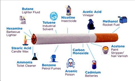 Cigarette components | Science online