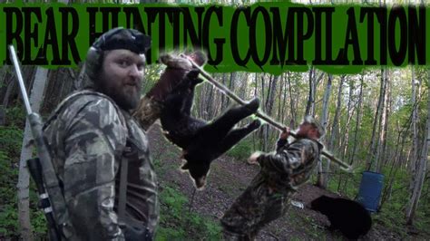 From the Ground Maine Black Bear Hunting Compilation - YouTube