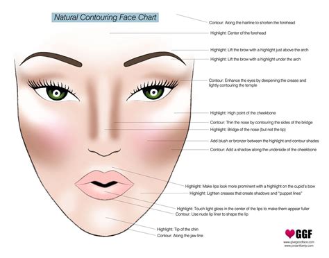 Pin by Abeer Tutanji on Beauty | Makeup, Contour makeup, Beauty hacks