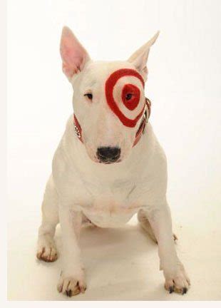 Bullseye, Target's Dog Mascot At New York Stock Exchange - Dog Files