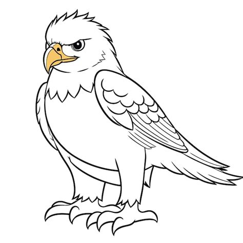 Premium Vector | A vector of a cute eagle in black and white coloring ...