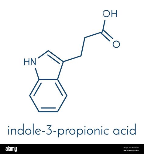 indole-3-propionic acid or IPA molecule. Skeletal formula Stock Vector ...