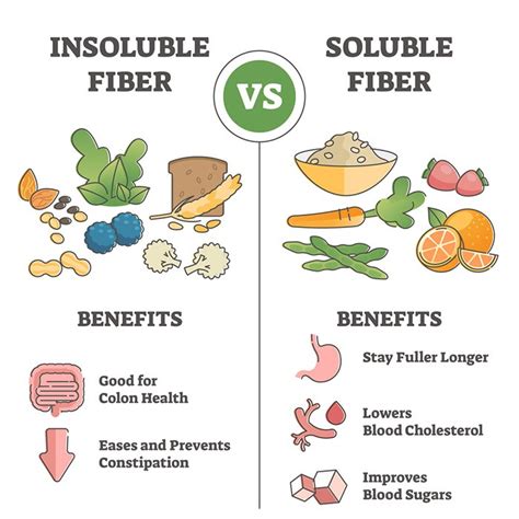 Soluble vs. Insoluble Fiber for Gut Health