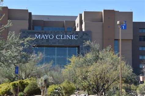 Visit the Mayo Clinic and Check out the Best Accommodations Nearby ...