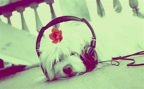 🔥 [50+] Cute Music Wallpapers | WallpaperSafari