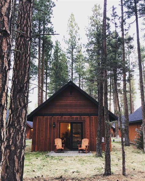 a cabin in the woods with two chairs