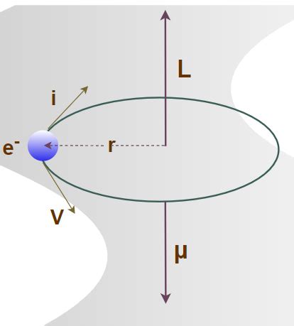 Magnetic Dipole Moment: Definition, Derivation, Formula, Examples