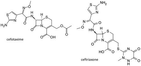 Chemical structure of the third generation cephalosporins cefotaxime ...