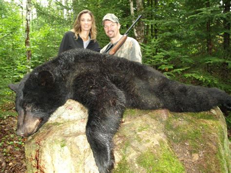 Maine Black Bear Hunting – North Country Lodge