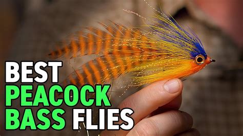 The TOP Peacock Bass Flies + Amazon Jungle Fly Fishing Kit! - YouTube