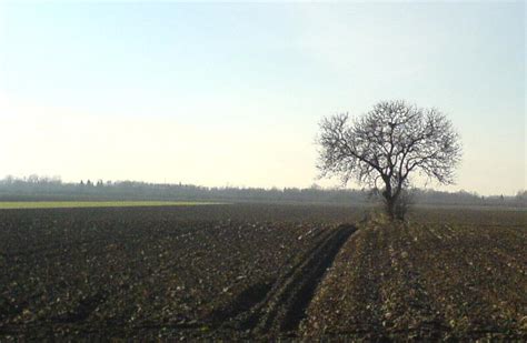 SELO U SUVREMENOJ HRVATSKOJ: Tri razine života na selu – lokalna ...