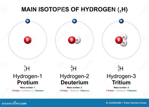 Main Isotopes of Hydrogen, Protium, Deuterium D and Tritium T Stock ...