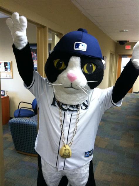 Catsparella: Tampa Bay Rays DJ Kitty Mascot Comes To Life On The Field ...