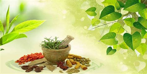 Indian herbs and their magical benefits - Fitness Health Forever