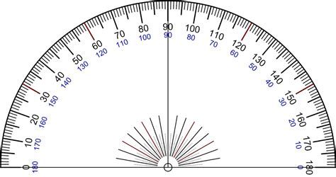 MEDIAN Don Steward mathematics teaching: protractor