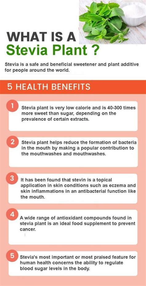 Stevia Plant: Health Benefits, Uses, Side Effects and Warning