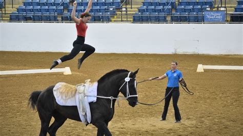 The Transition Vaulters, Equestrian Vaulting Team | WCYB