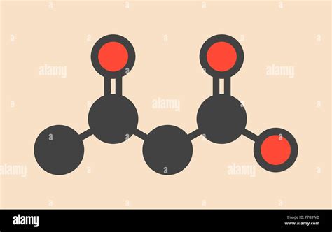 Ketone body (acetoacetic acid, diacetic acid) molecule. Stylized ...