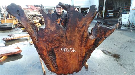 Redwood Burl Art Slab - SL-212 - Redwood Burl Inc.